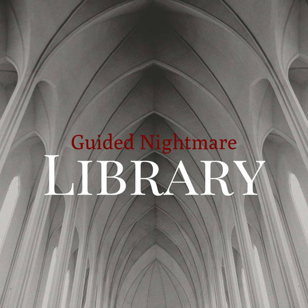 141: Guided Nightmare: Library