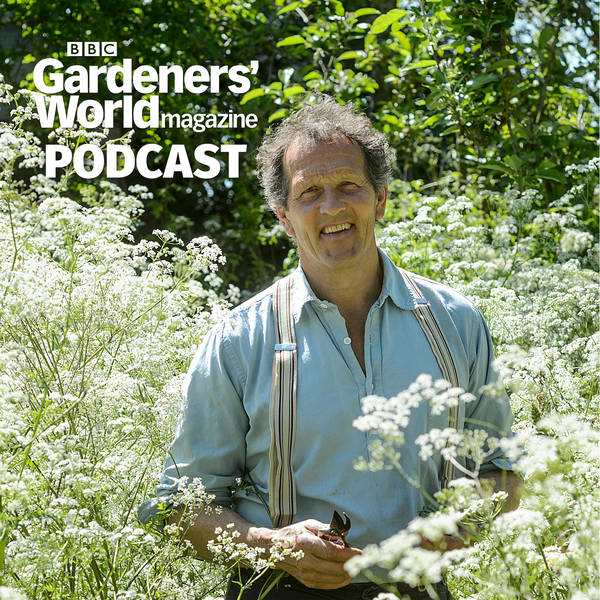 Monty Don on gardening for wildlife