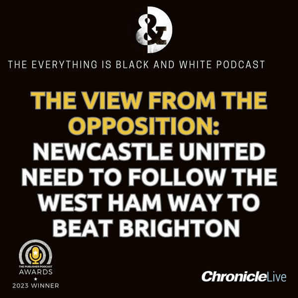 THE VIEW FROM THE OPPOSITION - BRIGHTON: MAGPIES' PRESS WOULD PLAY INTO SEAGULLS' HANDS | TOON NEED TO COPY WEST HAM WAY TO WIN | RIGHT-BACK WEAKNESS | REACTION TO DEFEAT EXPECTED