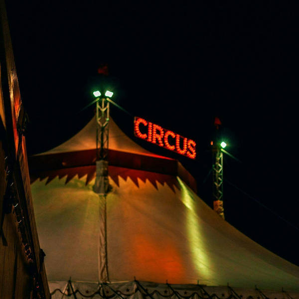 95: Circus