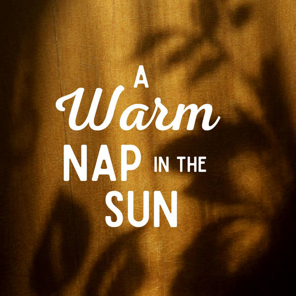 A Warm Nap in the Sun