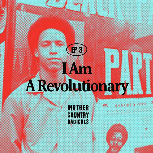 Chapter 3: I Am A Revolutionary