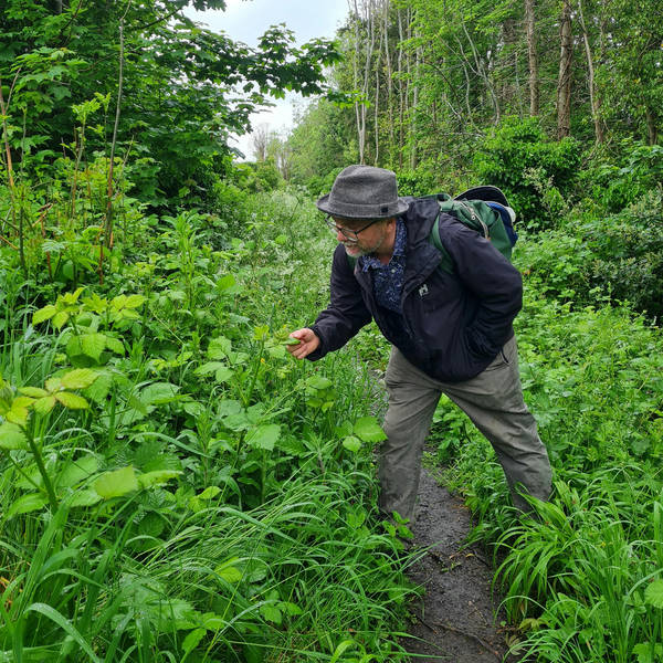 252. What can you find to eat on an urban foraging adventure in Bristol?