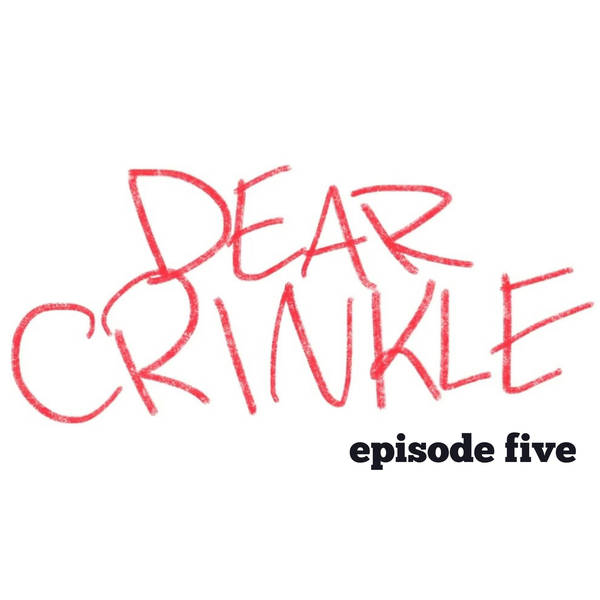 Dear Crinkle Episode 5: Voices in my head, Idiot detector, Stinky guest.