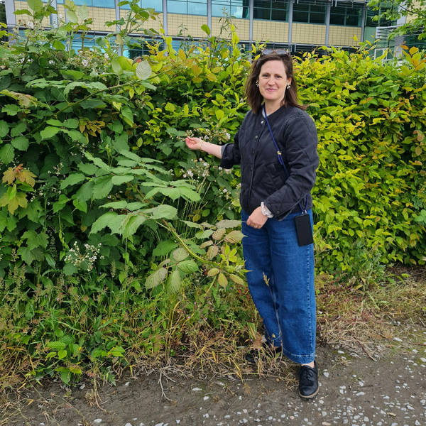 254. Discover the magic of weeds with artist Anna Chapman Parker