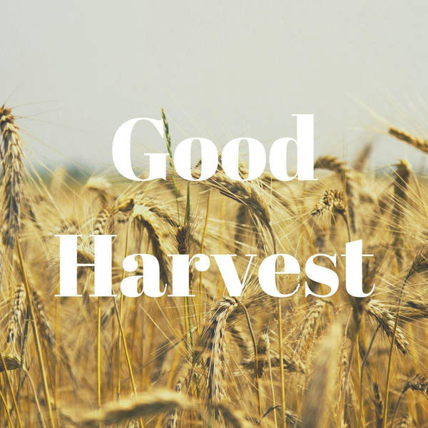 65: Good Harvest