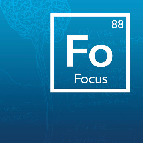 Focus Toolkit: Tools to Improve Your Focus & Concentration