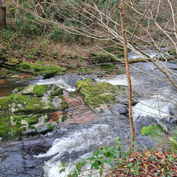 Sound Escape 164. Take a mindful moment beside a rushing stream