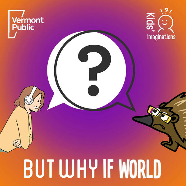 But Why If World (with Jane Lindholm)