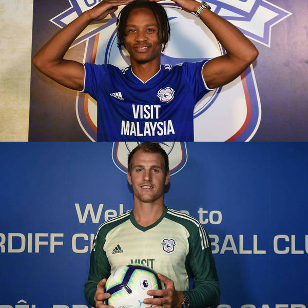 Summer special: What Cardiff City transfers can tell us