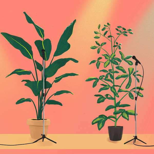 Plants that Sing