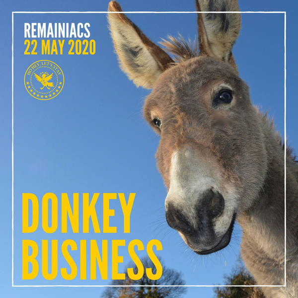 Donkey Business, No Deal Drama