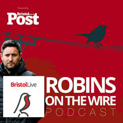 Robins on the Wire image