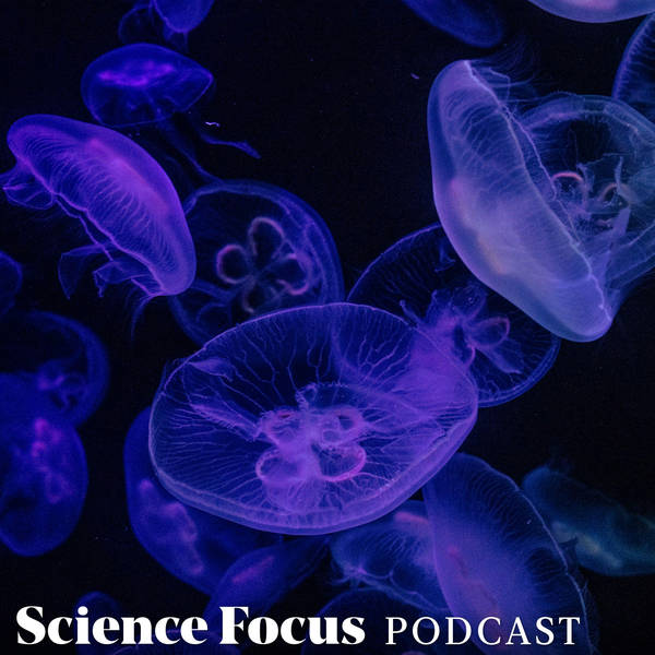 Deep sea creatures - Everything you ever wanted to know about... the deep sea with Dr Jon Copley