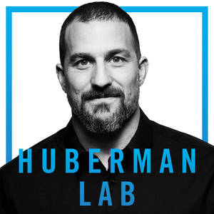 Huberman Lab image