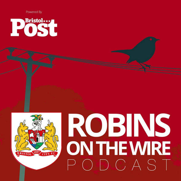 Dean Holden exclusive: Robins season revisited