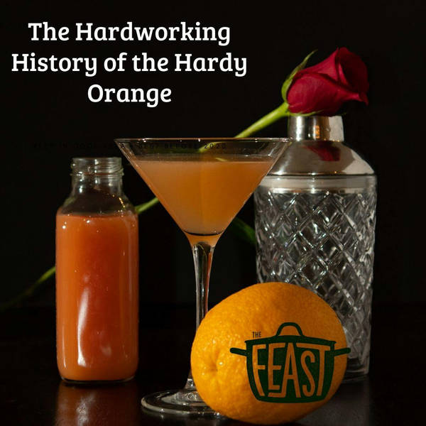 The Hardworking History of the Hardy Orange