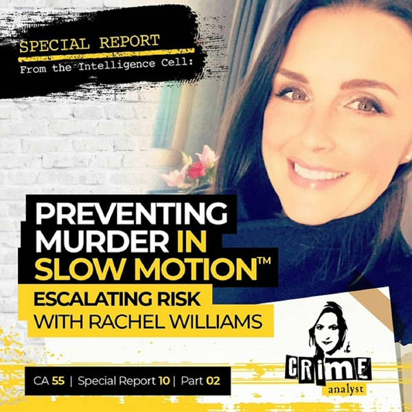 Ep 55: Preventing Murder in Slow Motion™: Escalating Risk with Rachel Williams, Part 2