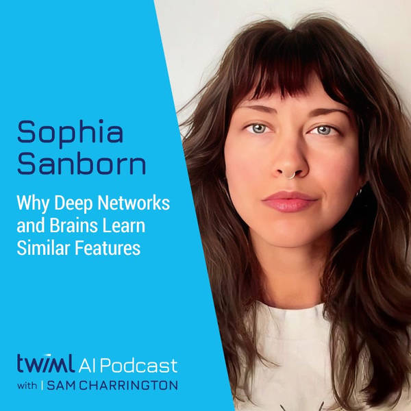 Why Deep Networks and Brains Learn Similar Features with Sophia Sanborn - #644