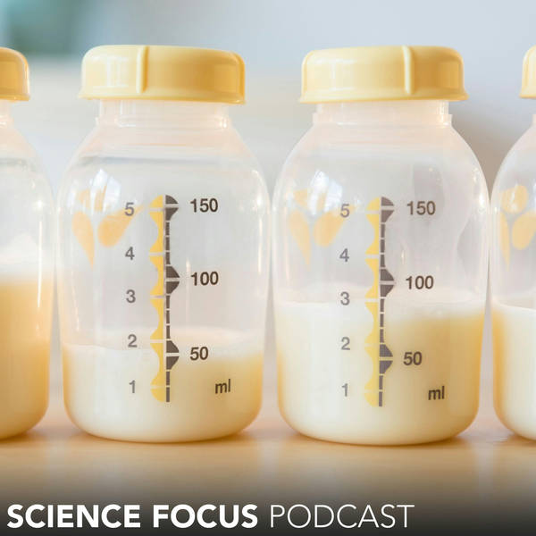 Is the cure for cancer hiding in human breast milk? – Professor Catharina Svanborg