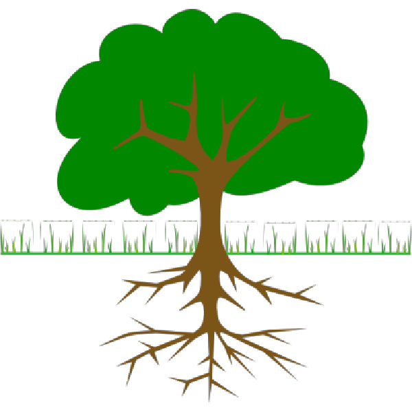 Kaylee asks: What if trees go to school? (Alternia: Part 4)