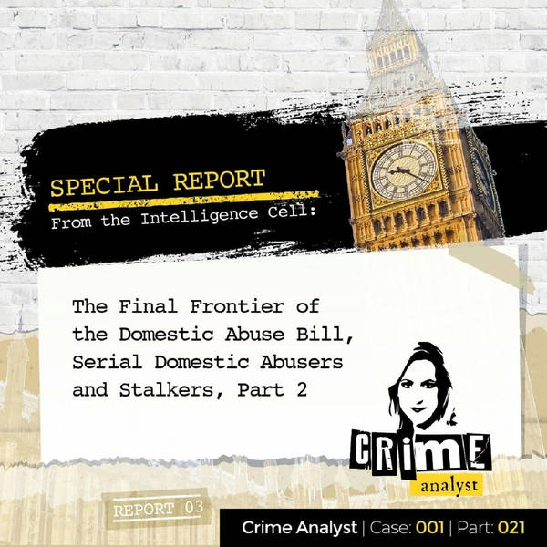 Ep 21: The Final Frontier of the Domestic Abuse Bill, Serial Domestic Abusers and Stalkers, Part 2