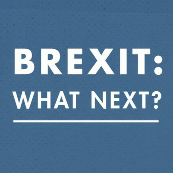 Brexit: What Next?
