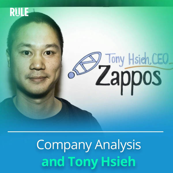 293- Company Analysis and Tony Hsieh