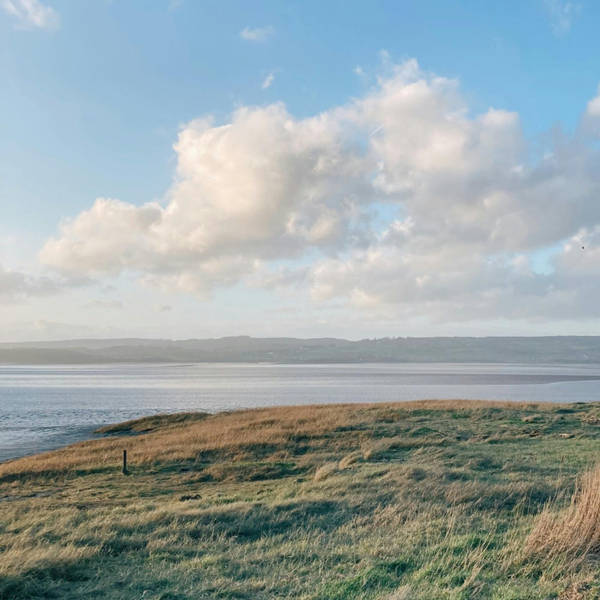 Sound Escape 95: A cold, crisp winter's walk along the Severn Estuary