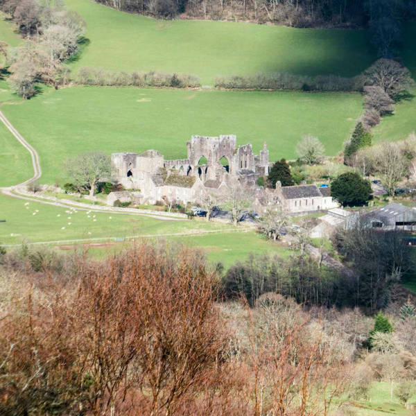 Sound Escape 94: An early Christmas present of spring birdsong at Llanthony Priory