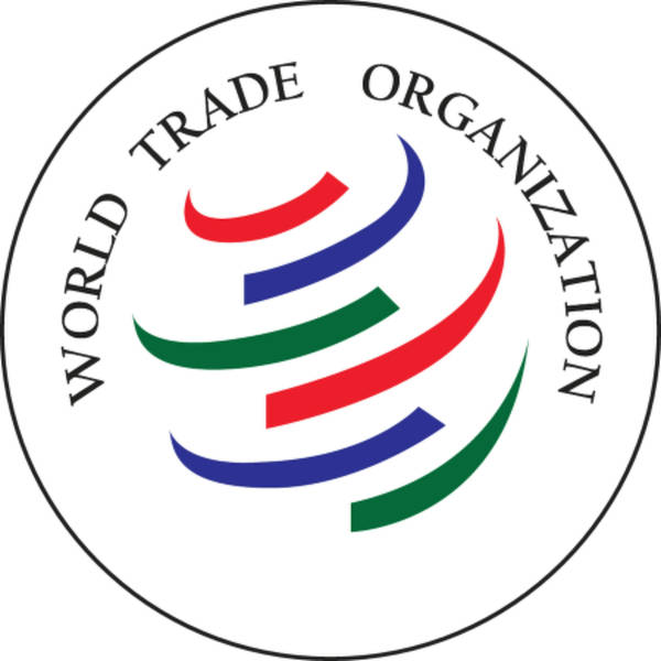 WTO Report Findings | The Lawyers Perspective | NUFC Takeover
