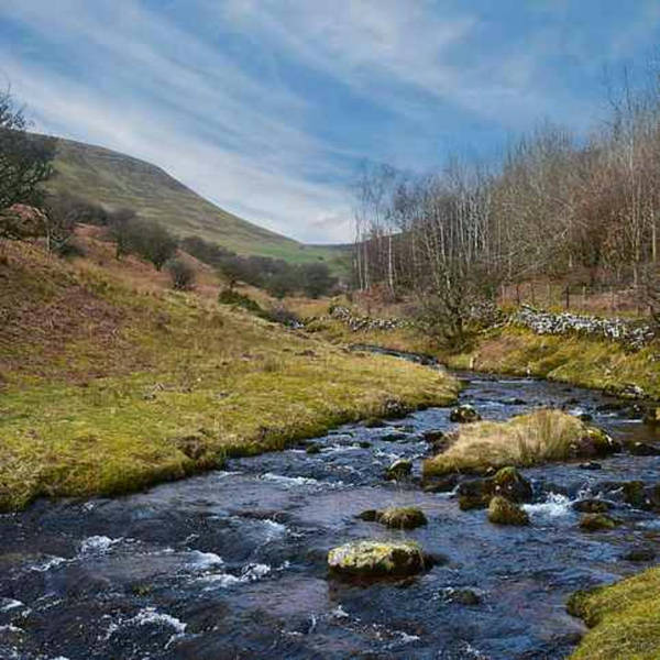 Sound Escape 85: be mesmerised by the soft burble of a Welsh stream