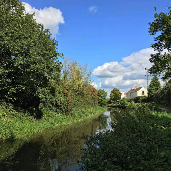 Sound Escape 84: a mellow moment beside a sleepy Somerset canal