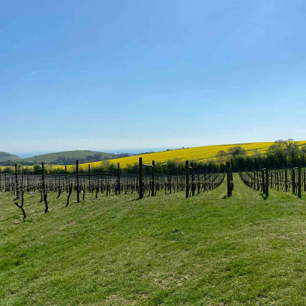 162. Sample the wildlife and wine in an organic vineyard in Kent
