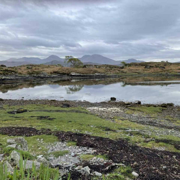 Sound Escape 66: sit down on the shore in Arisaig and be soothed by waves and oystercatchers