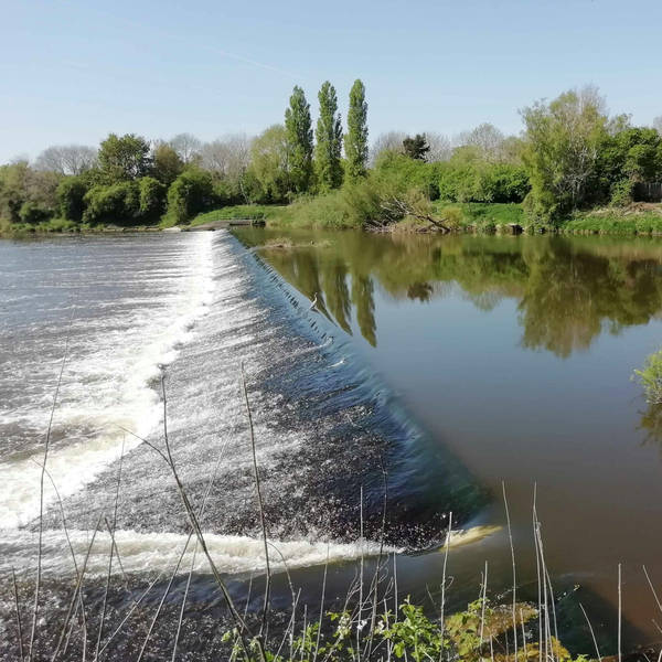 149. How the River Severn is being unlocked to allow fish to migrate once more
