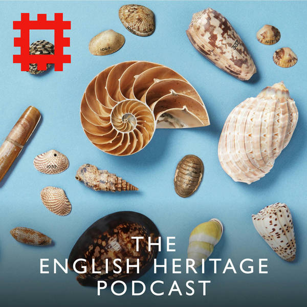 Episode 259 - Long lost shells returned: from Captain Cook’s voyage to Chesters Roman Fort (via a skip)