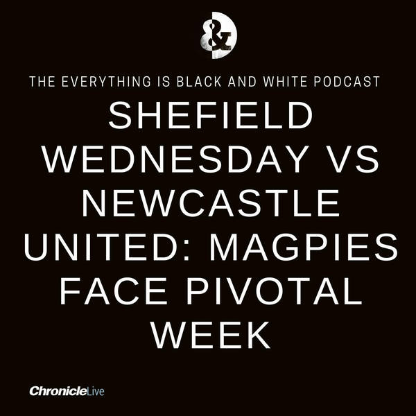 SHEFFIELD WEDNESDAY VS NEWCASTLE UNITED - THE MATCH PREVIEW: THE MAGPIES FACE PIVOTAL WEEK AS THEY LOOK TO KEEP UNBEATEN RUN GOING