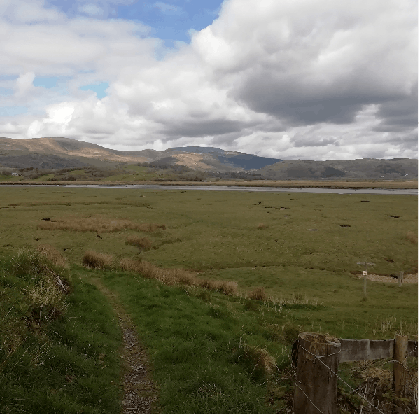 Sound Escape 10: the soft crooning of nesting geese on the Dyfi Estuary