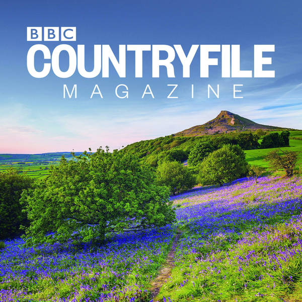 Spring across Britain – a new season of delightful podcasts from BBC Countryfile Magazine