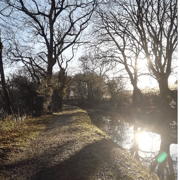 94. A soothing walk at dawn along a Brecon Beacons canal – with gorgeous spring birdsong