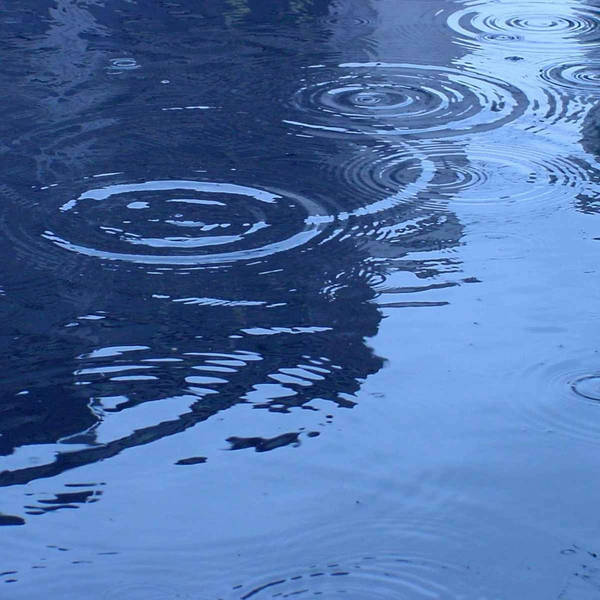 Sound Escape 58: the soothing lullaby of raindrops falling on a pond