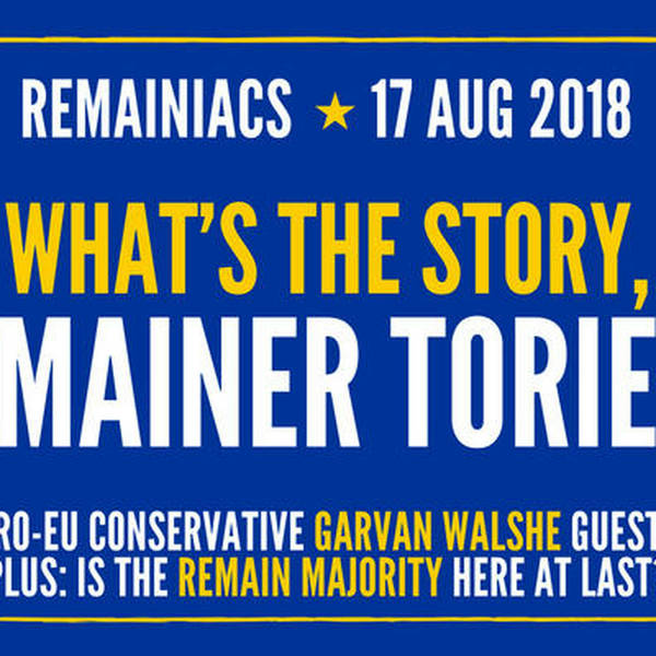 68: What’s the story, Remainer Tories? Pro-EU Conservative Garvan Walshe guests