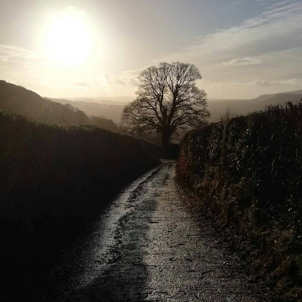 Sound Escape 47: enjoy the first birdsong of the year on a frosty green lane