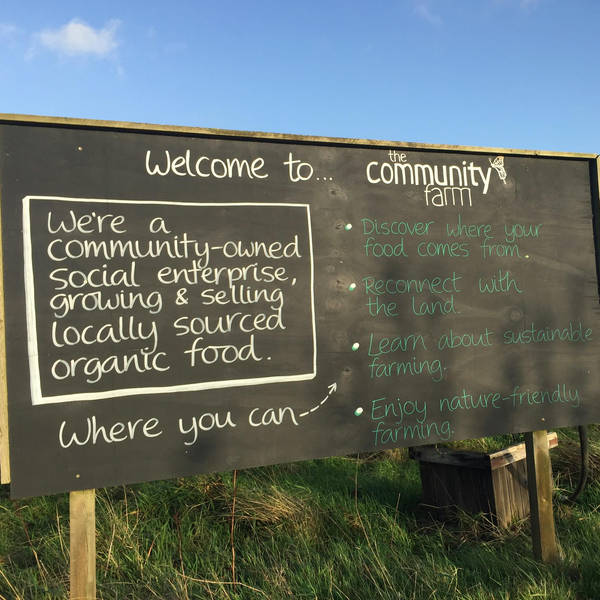 51. Visit an inspiring community farm near Bristol