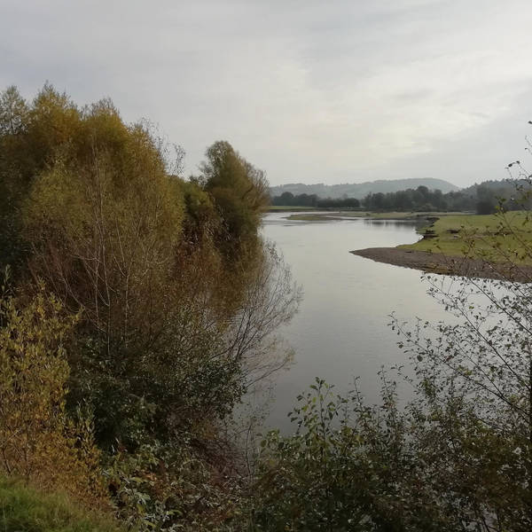 36. A tranquil ramble along the River Usk in autumn