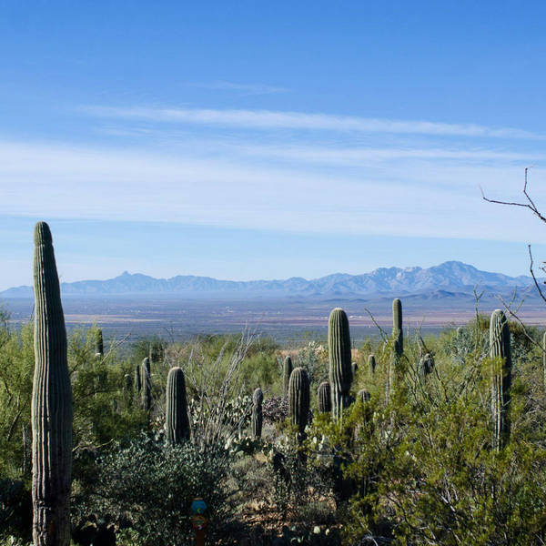 A Man Named Peppercorn: Saving & Savoring the Foodways of the Sonoran Desert