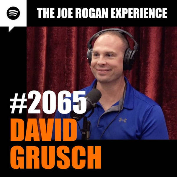 #2065 - David Grusch