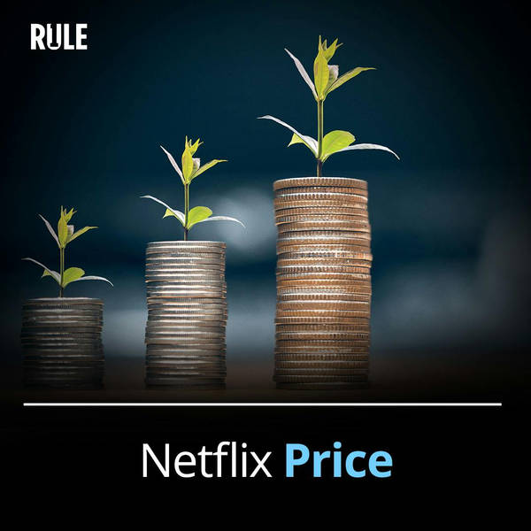 377- Netflix Price