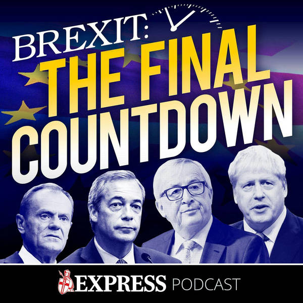 BONUS ep: Is the (Brexit) Party finally over? Ben Habib MEP exclusive